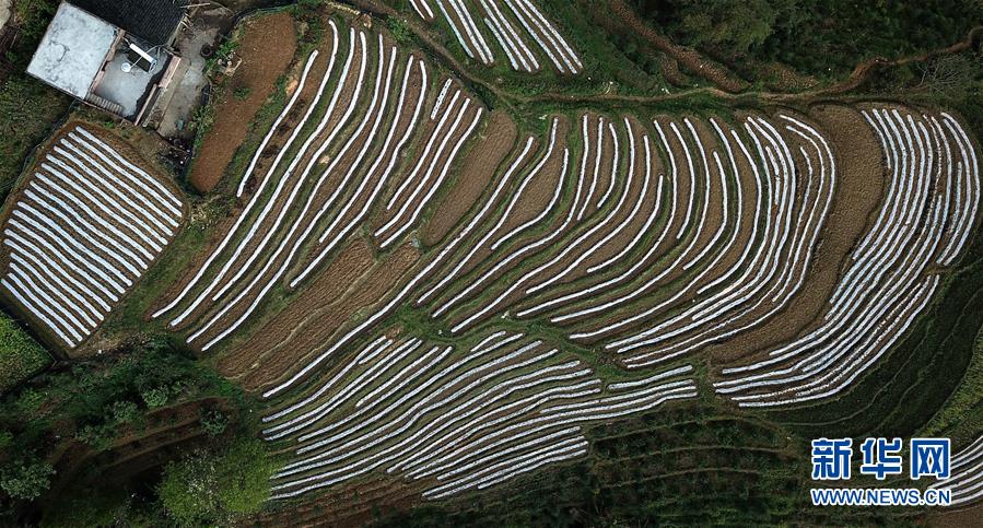 （春季美麗生態(tài)）（8）飛閱邊關山田春景