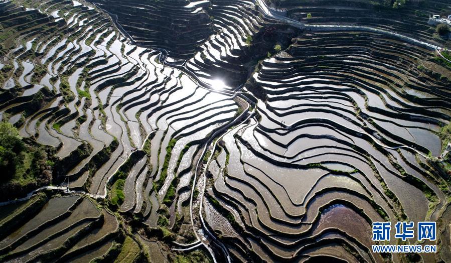 （社會）（3）湖北蘄春：梯田景觀成就扶貧產業