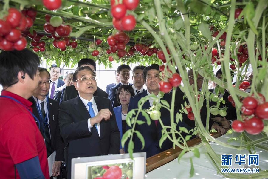 （時政）李克強參觀北海道惠庭市現代生態農場