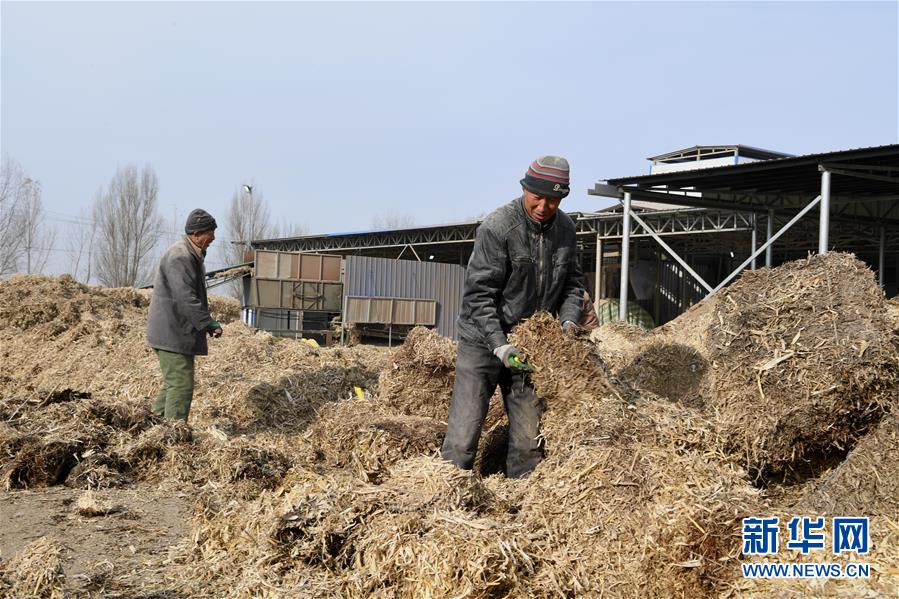 （在習近平新時代中國特色社會主義思想指引下——新時代新氣象新作為·鄉(xiāng)村振興戰(zhàn)略·圖文互動）（2）“與其放火，不如打包”——山西渾源秸稈綜合再利用見聞