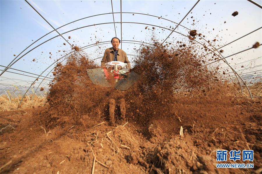 （鏡觀中國·新華社國內照片一周精選）（14）冬忙