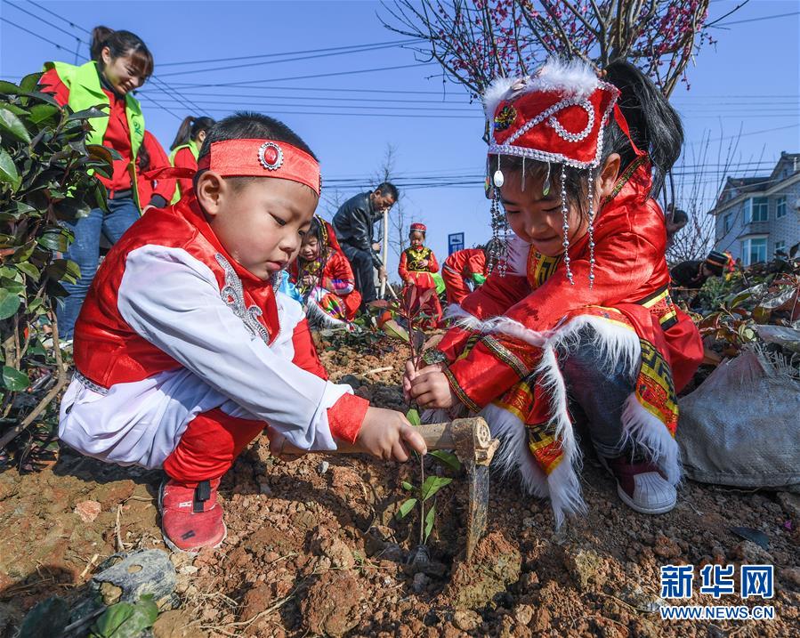 （社會）（2）多民族兒童共迎植樹節