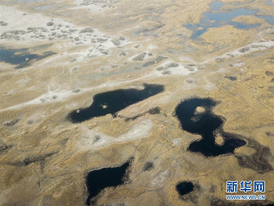 （圖文互動）（1）海子里的牧羊人見證中國最長內陸河生態(tài)變遷