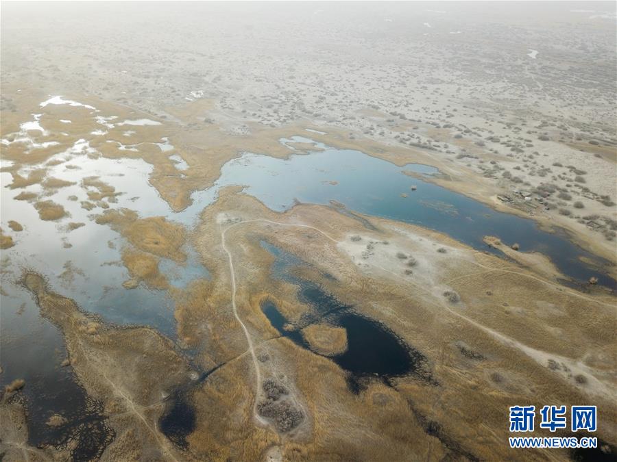 （圖文互動）（4）海子里的牧羊人見證中國最長內陸河生態(tài)變遷