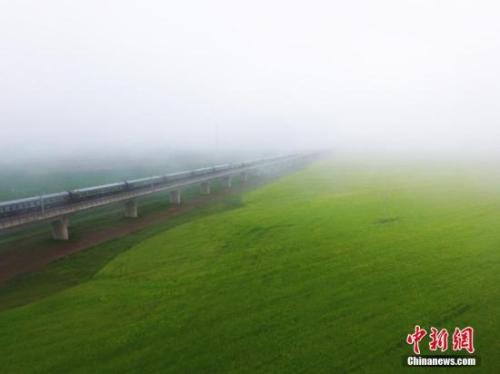 資料圖：動車組穿越雨霧中的油菜花海宛若穿越時空。 楊艷敏 攝