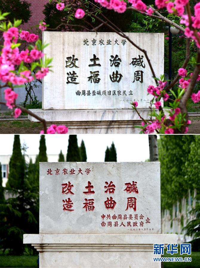 （新華全媒頭條·愛國(guó)情 奮斗者·圖文互動(dòng)）（2）把論文寫在祖國(guó)的大地上——中國(guó)農(nóng)業(yè)大學(xué)46年扎根河北曲周服務(wù)鄉(xiāng)村振興紀(jì)實(shí)