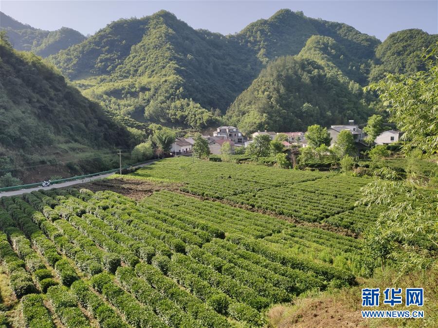 （圖文互動(dòng)）（1）漢江畔崛起生態(tài)城——來(lái)自南水北調(diào)中線(xiàn)核心水源地的調(diào)查報(bào)告