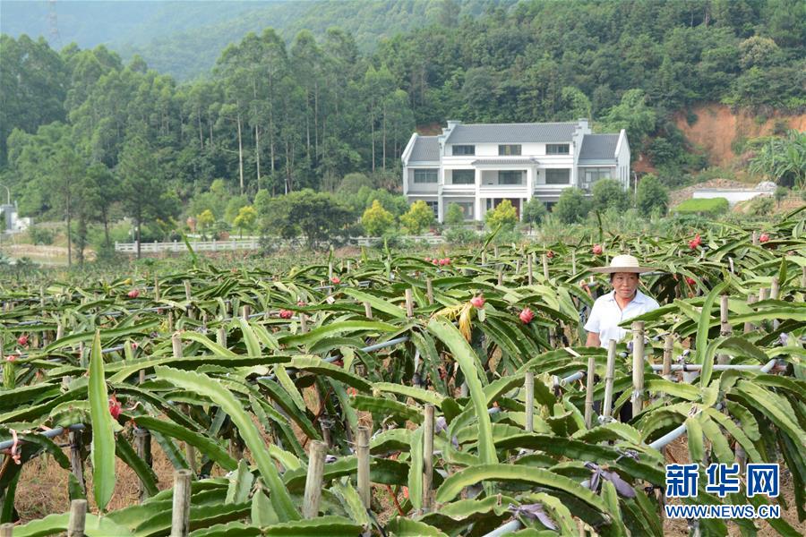 （在習(xí)近平新時(shí)代中國(guó)特色社會(huì)主義思想指引下——新時(shí)代新作為新篇章·總書記關(guān)心的百姓身邊事·圖文互動(dòng)）（6）大污染變身“大寶藏”：治理畜禽糞污，他們這樣干！