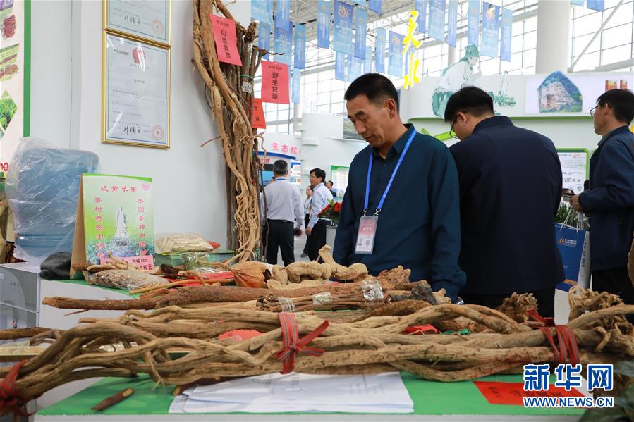 （來自一線的調(diào)查報告·圖文互動）（1）甘肅：岐黃肇始地 振興開新方