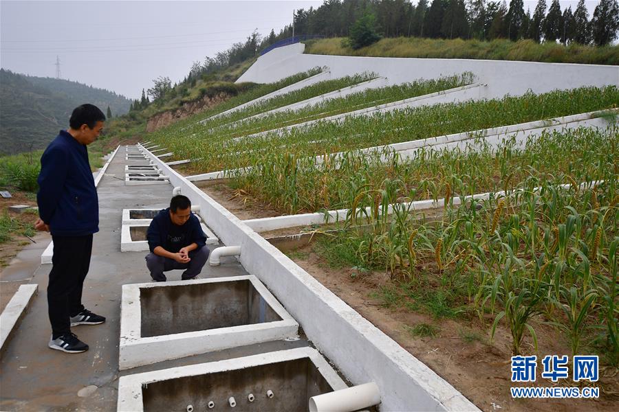 （走讀黃河·圖文互動）（8）攔沙入黃顯“功夫”——黃土高原無定河畔淤地壩見聞