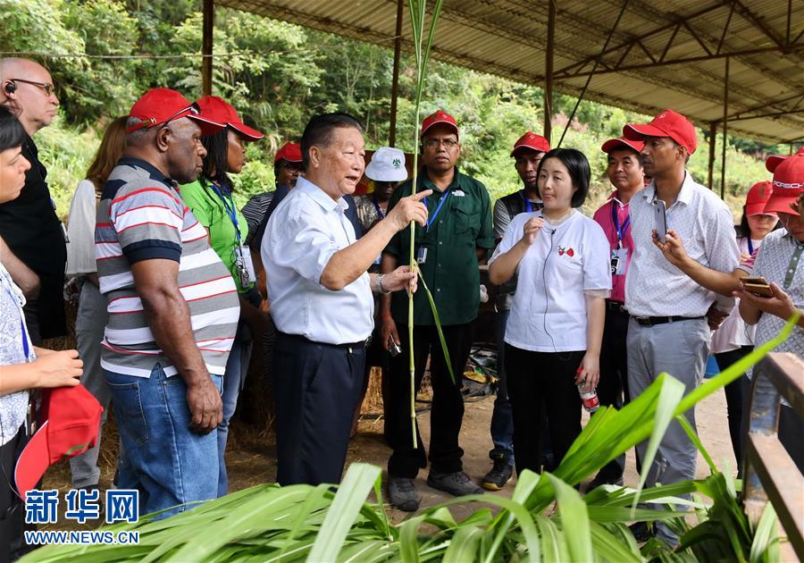 （不忘初心、牢記使命·圖文互動(dòng)）（5）拳拳寸草心 濃濃報(bào)國情——記“菌草之父”林占熺