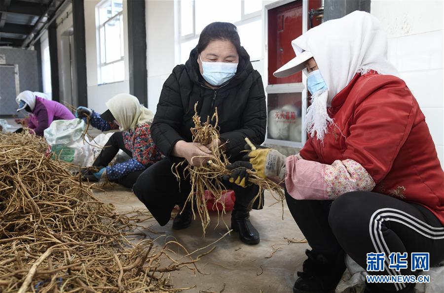 （新華全媒頭條·圖文互動）（2）特殊時期，他們這樣履職——全國人大代表這個春天在行動