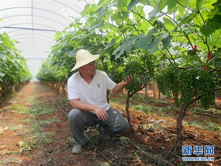 （新華全媒頭條·圖文互動）（11）春色最濃在田間——來自全國春耕備耕的現場觀察