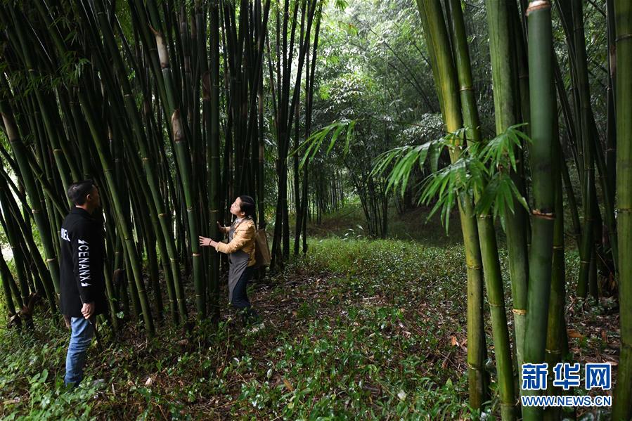 （代表委員履職·圖文互動）（2）“90后”非遺傳承人楊昌芹：讓傳統文化為鄉村振興注入“靈魂”