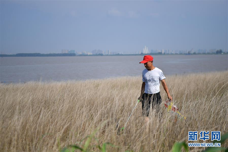 （新華全媒頭條·圖文互動）（7）大湖新歌——我國兩大淡水湖全面生態修復進行時