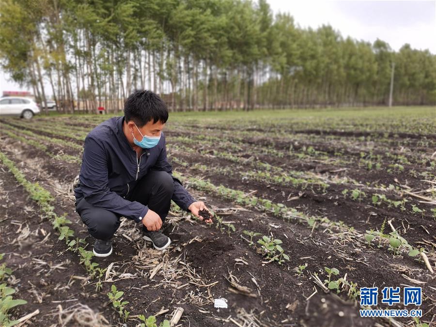 （在習(xí)近平新時(shí)代中國特色社會主義思想指引下——新時(shí)代新作為新篇章·習(xí)近平總書記關(guān)切事·圖文互動）（6）讓每一寸耕地都成為豐收的沃土——我國加強(qiáng)耕地保護(hù)推進(jìn)“藏糧于地”