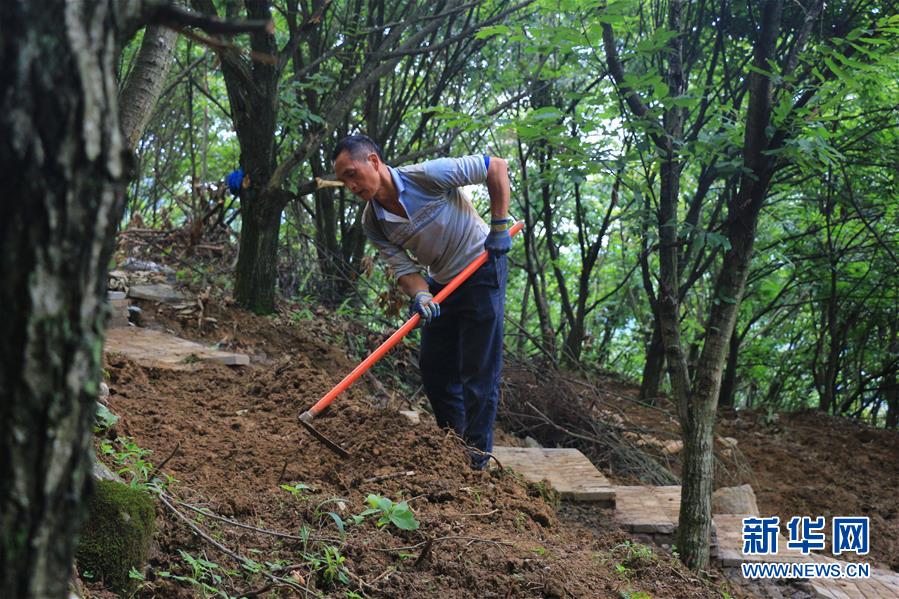 （決戰決勝脫貧攻堅·圖文互動）（2）問林下要地 助“新市民”就業增收