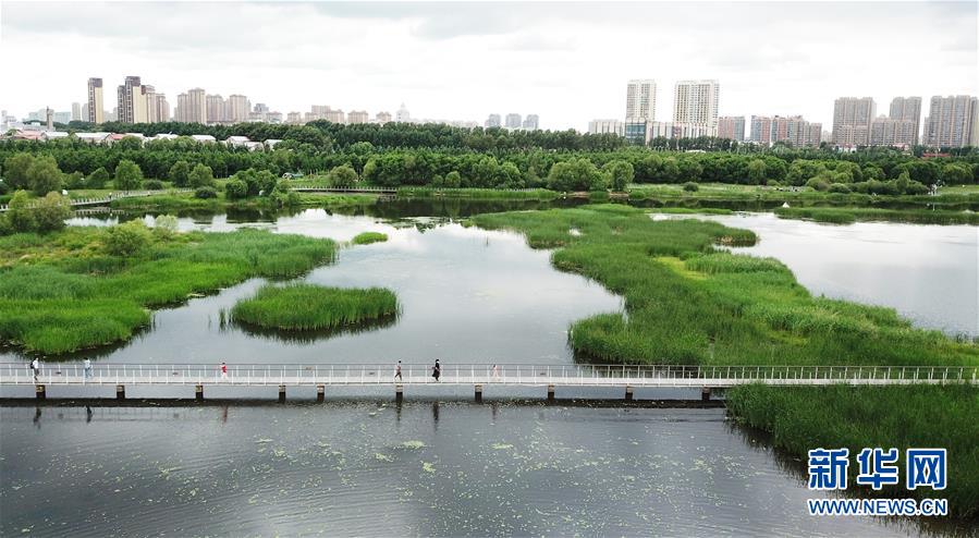 （走向我們的小康生活·圖文互動）（1）水清、地綠、空氣新——最北省份黑龍江繪就生態(tài)治理新畫卷