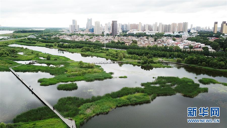 （走向我們的小康生活·圖文互動）（2）水清、地綠、空氣新——最北省份黑龍江繪就生態(tài)治理新畫卷