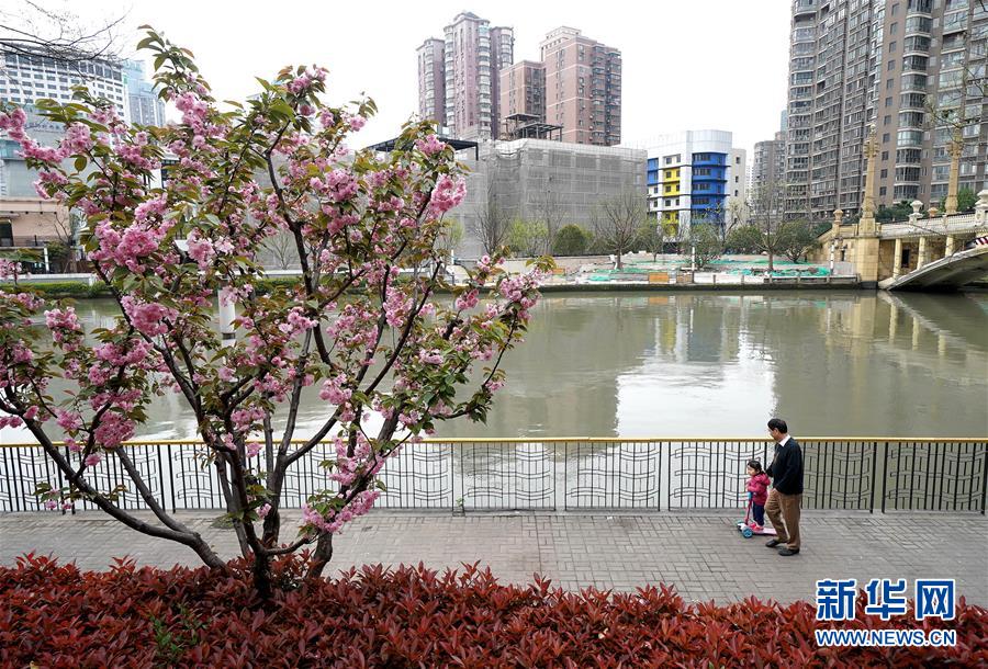 （新華全媒頭條·走向我們的小康生活·圖文互動(dòng)）（12）城市，讓人民生活更美好