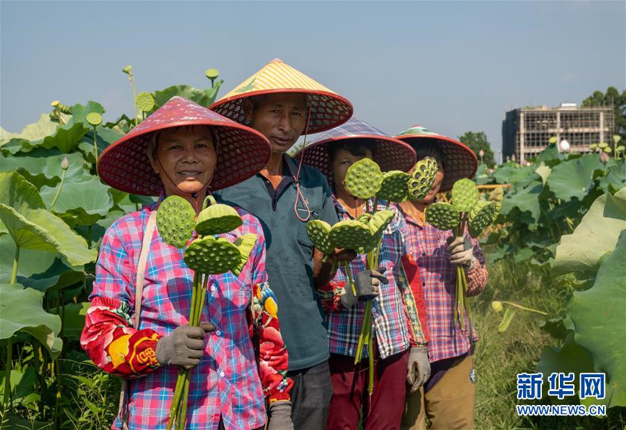 （新時(shí)代文明實(shí)踐·圖文互動(dòng)）（3）文明之花別樣紅——來自廣東博羅的新時(shí)代文明實(shí)踐報(bào)告