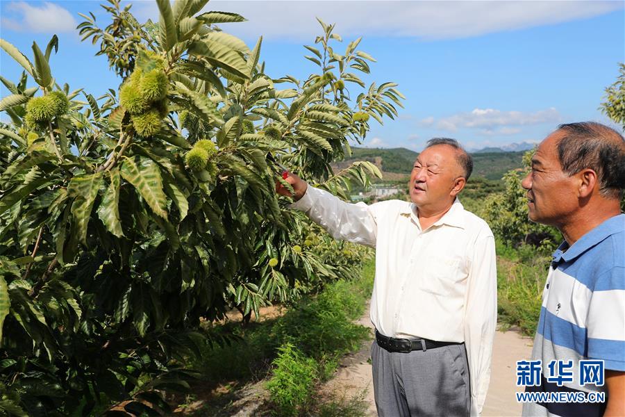 （新華全媒頭條·走向我們的小康生活·圖文互動(dòng)）（11）長(zhǎng)城腳下，小康村串成“珍珠鏈”