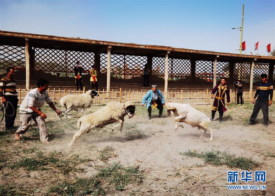 （圖文互動）（4）新疆：刀郎文化在旅游開發(fā)中獲新生