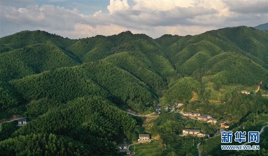 （新華全媒頭條·走向我們的小康生活·圖文互動）（2）神山村“神奇”何在？——井岡山深處覓答案