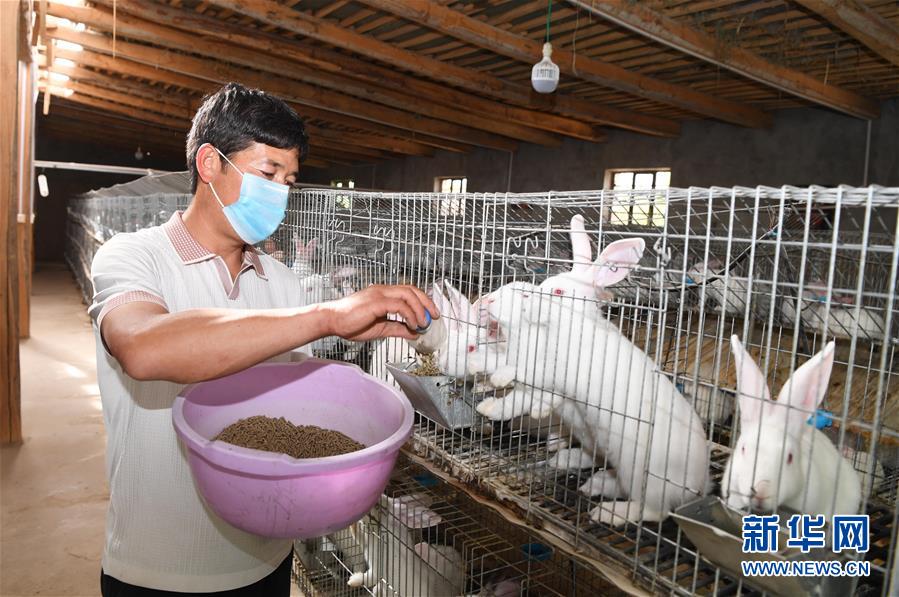 （新華全媒頭條·圖文互動）（14）新天地 新兒女 新奇跡——脫貧攻堅(jiān)繪就新疆新圖景