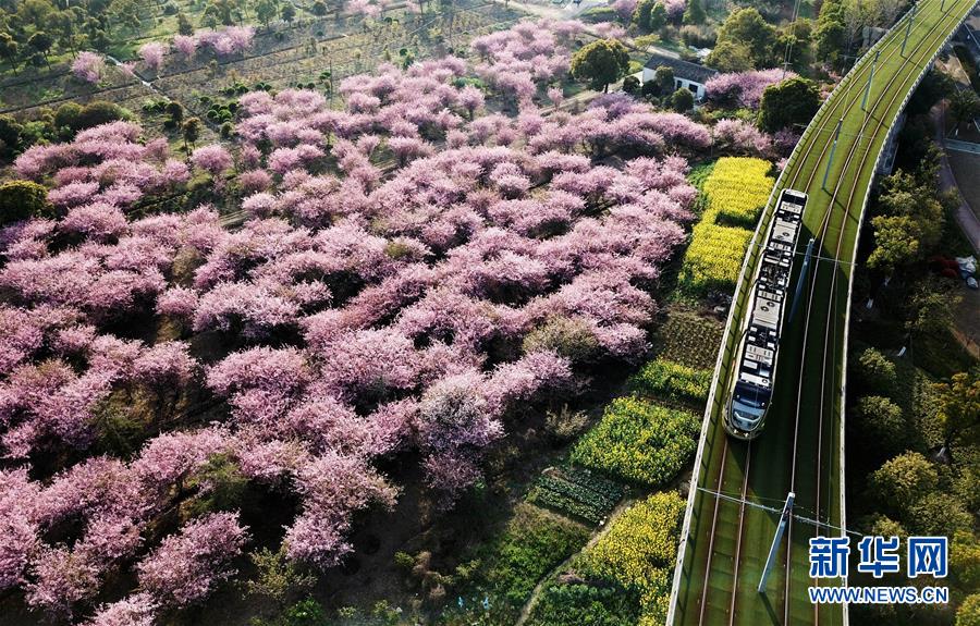 （新華全媒頭條·圖文互動）（4）偉大旗幟引領歷史巨變——習近平新時代中國特色社會主義思想指引“十三五”經濟社會發展述評