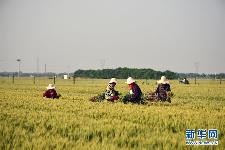 （新華全媒頭條·迎接兩會(huì)特別報(bào)道·圖文互動(dòng)）（1）不同尋常的兩會(huì) 萬(wàn)眾一心的力量——寫(xiě)在2020年全國(guó)兩會(huì)召開(kāi)之際