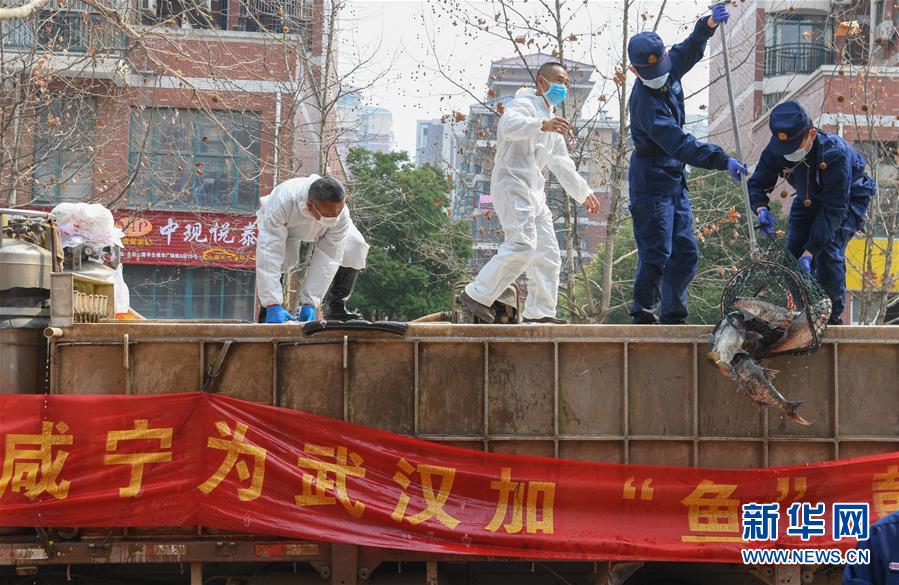 （新華全媒頭條·圖文互動）（12）從人民中汲取磅礴力量——習(xí)近平總書記同出席2020年全國兩會人大代表、政協(xié)委員共商國是紀(jì)實(shí)