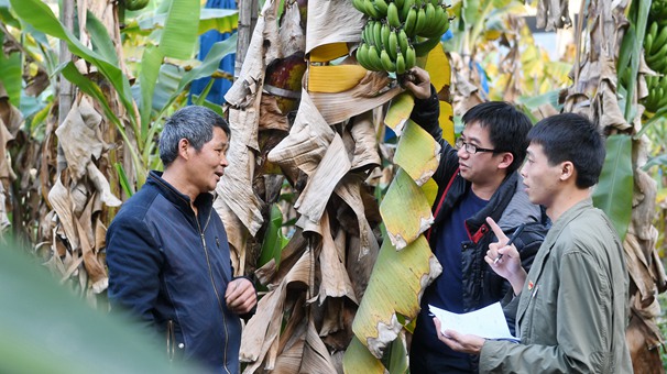 福建南靖：深化駐村黨風監督員工作取得成效