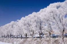 全國初雪時間表出爐 看看你離初雪還有多遠？