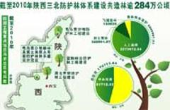 陜西省護林逾284萬公頃