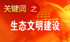 胡錦濤提出，大力推進生態文明建設