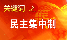 王京清：貫徹民主集中制是我們黨最大的制度優勢