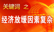 張平：今年經濟出現放緩跡象是多重因素的影響