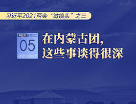 習近平2021兩會“微鏡頭”之三 3月5日 在內蒙古團，這些事談得很深