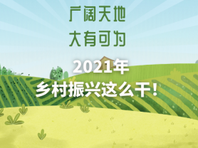 廣闊天地 大有可為 2021年鄉村振興這么干！