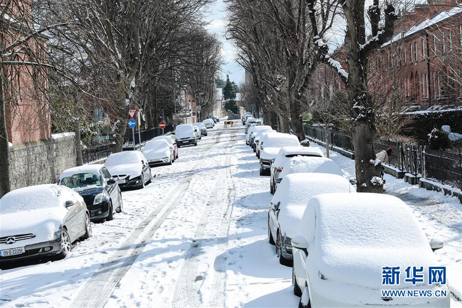 （國(guó)際）（4）愛(ài)爾蘭遭遇36年來(lái)最嚴(yán)重暴風(fēng)雪